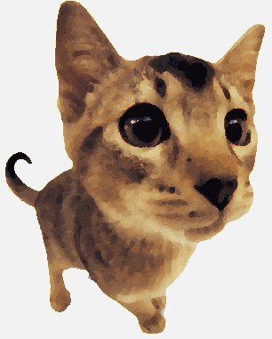 chat