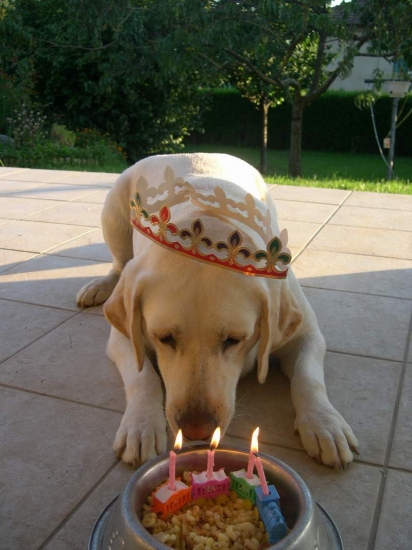 joyeux anniversaire