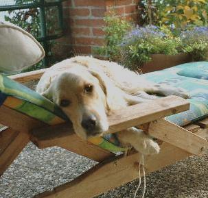 laisser moi dormir