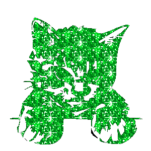 chat pétillant