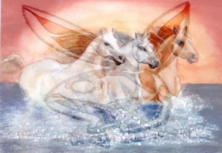play boy et chevaux